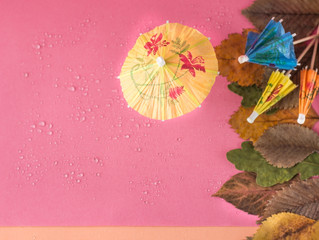 зонтики на разноцветном фоне, осенний концепт