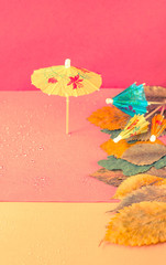 зонтики на разноцветном фоне, осенний концепт