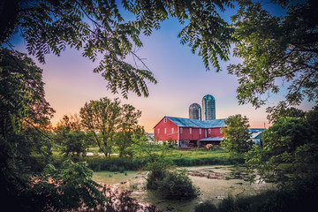 Summer Barnscape