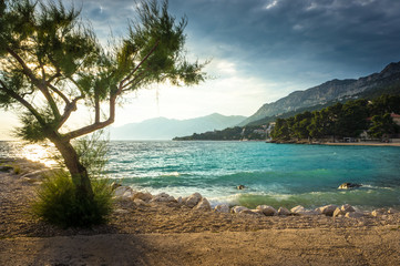 Fototapeta na wymiar Azure water on the beach in Brela with a tree in the foreground. Dalmatia, Croatia