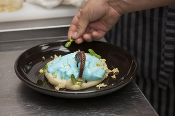 The cook prepares an octopus dish with turquoise sauce