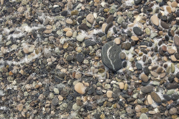 sea stones