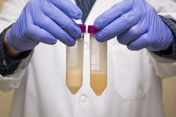 Gloved Hands holding two tubes with liquides that appear slightly different, possibly before and after a reaction.