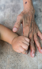 Hand of the baby is holding the fingers of the elderly wrinkled.