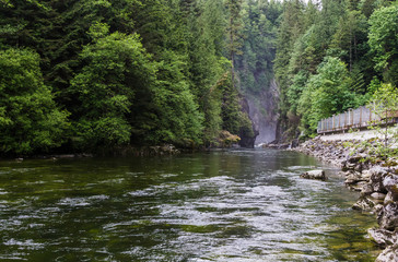 Obraz premium Capilano Regional Park, BC, Canada.