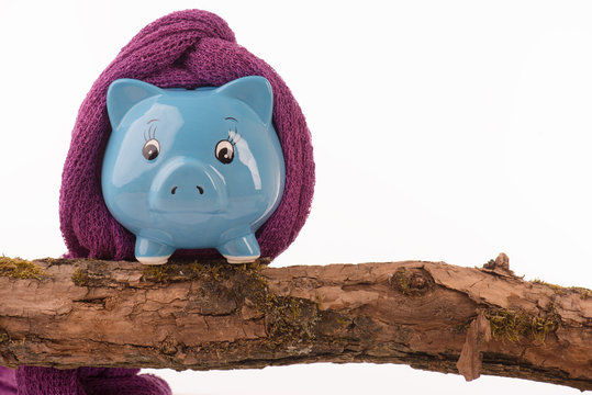 Trauriges Sparschwein mit Schal,steht auf einem Ast