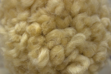 Wool