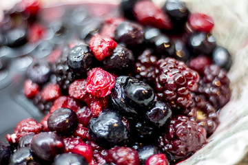 frutos del bosque