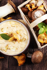 mushroom soup and variety of raw mushrooms on wooden table. oyster