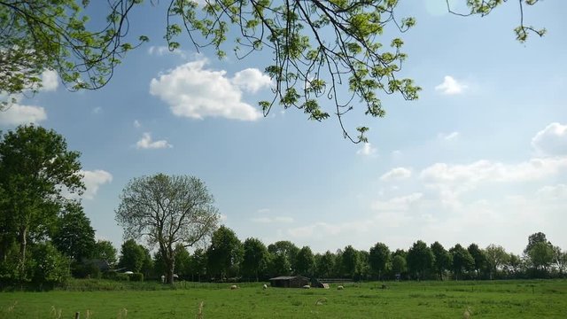 Campagna Olanda