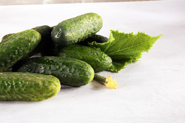 Fresh green cucumber with leaf and flower natural vegetables organic food