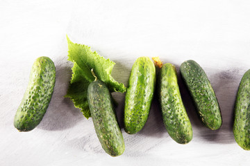 Fresh green cucumber with leaf and flower natural vegetables organic food