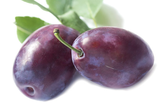 two large ripe juicy home-made purple plums