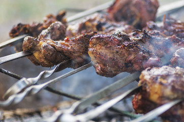 Closeup of summertime barbecue cookout outdoor, shallow depth of field; Meat cooking on charcoal in smoke