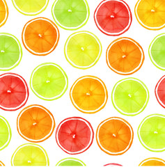 Obraz premium Citrus collection.