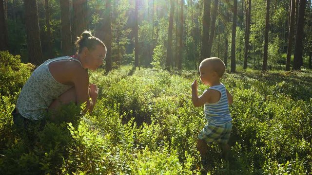 Mother and son at age of one year collect and eat wild blueberries