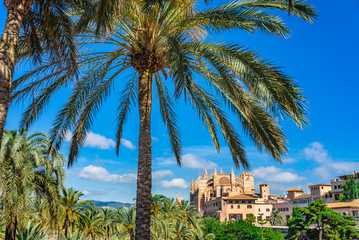 Spain Majorca, view of Cathedral La Seu at the historic old town of Palma de Mallorca