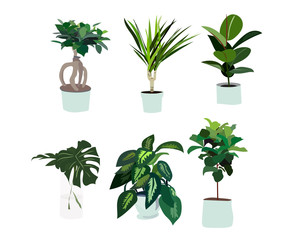 pot plant collection isolated on white background. vector illustration. 