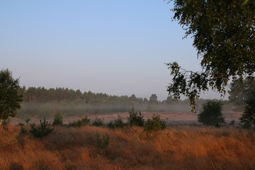 Sonnenaufgang in der Lüneburger Heide im Leichten Dunst.