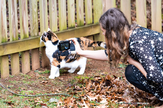 Curious calico cat walking, woman, female owner sitting, squatting on knees together, taking photo, picture, photographing, exploring house backyard garden