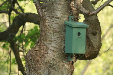 bird house