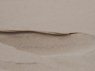 wydma,piach,pustynia