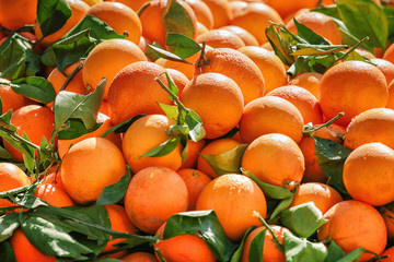 Close up of oranges fruits