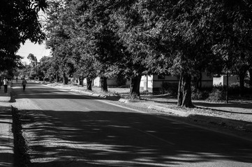 Residential Street with Trees, Livingstone, Zambia