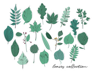 leaves collection vector watercolor sketch illustration. hand drawn trees elements. 