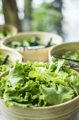bowls of fresh organic lettuce leaves in salad bar display