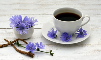 Cup with chicory, blue flowers of chicory and roots on white wooden table.