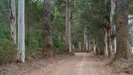 Mount Frankland National Park, Western Australia