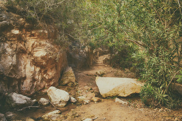 Amazing natural landscape in the Avakas canyon in Cyprus. National wild park with cliffs, mountains, rocks and trees. Deep natural valley to discovery for tourists and travellers. Vintage background