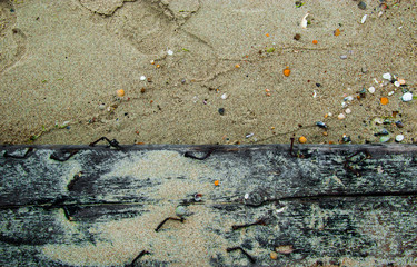 old charred wood beam with a lot of concave nails in the sand of the beach