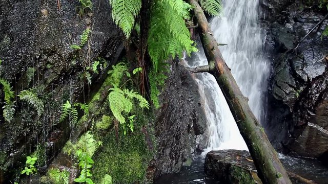 small Waterfall at PR1-LSA walking trail next to the castle, Lous&atilde;, Portugal