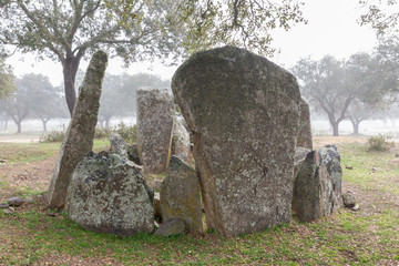 The Dolmen of Hijadilla is of type of circular chamber with long corridor. Located near Caceres. Extremadura. Spain.
