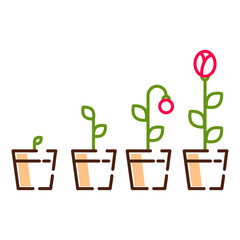 Plant flower growth process line icons vector.