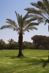 Obraz premium beautifull summer park