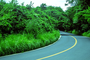 Camino escondido entre naturaleza