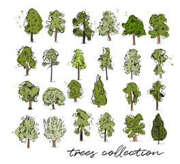 trees vector watercolor sketch collection. hand drawn trees illustration.