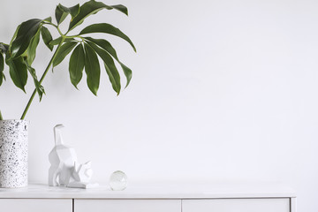 Minimalistic concept of white home interior whit copy space, tropical leaf and cat figures....