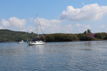 Obraz premium Irlande - Anneau de beara - Baie de Bantry et ses bateaux