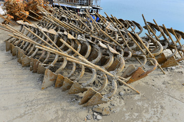 The anchor on the shore