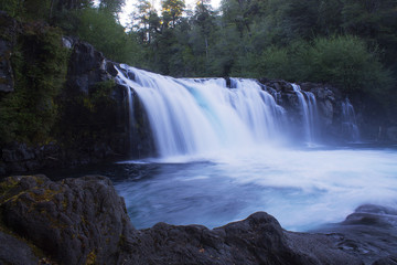 Fototapeta premium fall