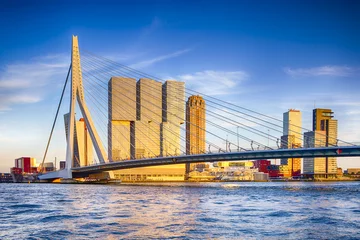 Foto op Plexiglas Rotterdam Beroemde reisbestemmingen. Aantrekkelijk uitzicht op de beroemde Erasmusbrug (Swan Bridge) in Rotterdam voor haven en haven. Foto gemaakt voor de zonsondergang.