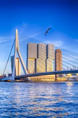 Fotobehang Beroemde reisbestemmingen. Aantrekkelijk uitzicht op de beroemde Erasmusbrug (Swan Bridge) in Rotterdam voor haven en haven. Foto gemaakt voor de zonsondergang. © danmorgan12