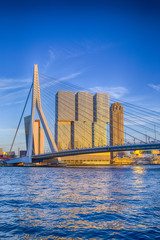 Berühmte Reiseziele. Attraktive Aussicht auf die berühmte Erasmusbrug (Schwanenbrücke) in Rotterdam vor Hafen und Hafen. Bild gemacht vor dem Sonnenuntergang.