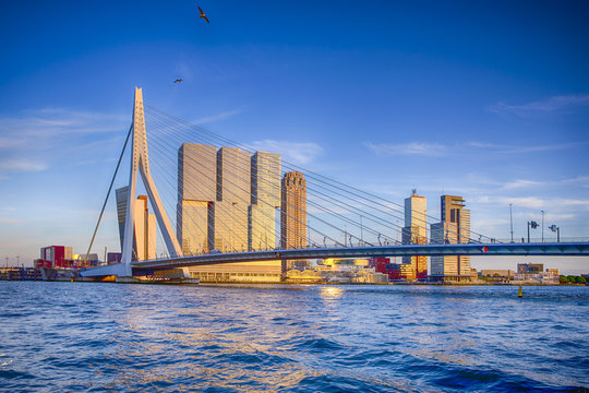 Famous Travel Destinations. Attractive View of Renowned Erasmusbrug (Swan Bridge) in  Rotterdam in front of Port and Harbour. Picture Made Before the Sunset.