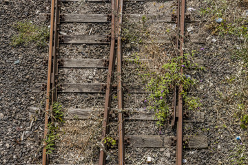 Railway / Railroad Picture