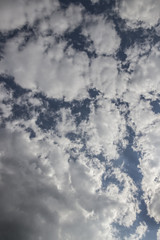 Summer sky with puffy dark clouds